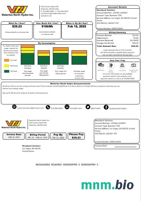 USA Nevada Waterloo North Hydro rachunek za usługi komunalne szablon w formacie Word i PDF